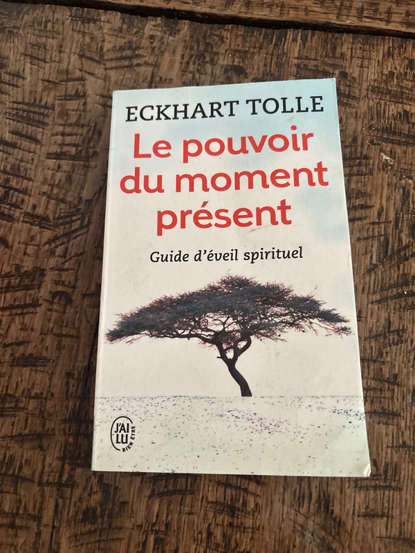 Le pouvoir du mouvement présent