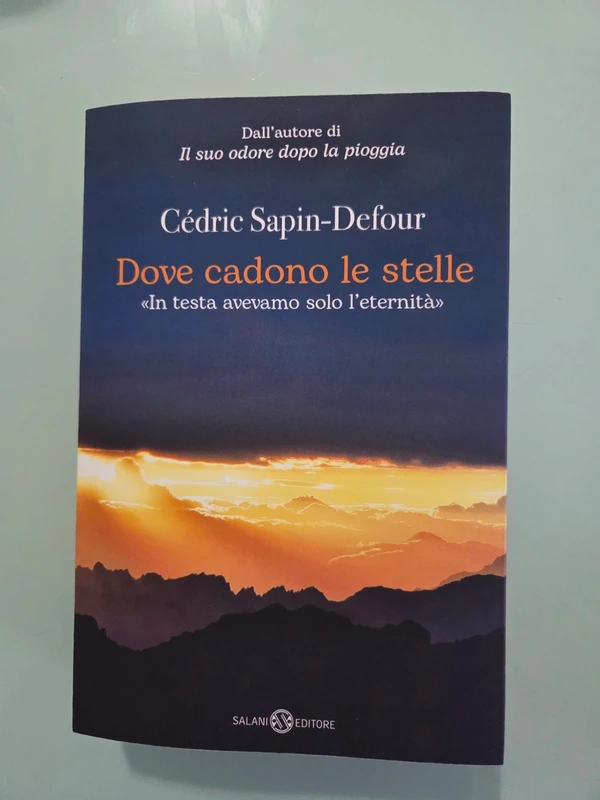 Cédric Sapin-Defour Dove cadono le stelle Salani Editore Letto 1 Volta Come Da Foto