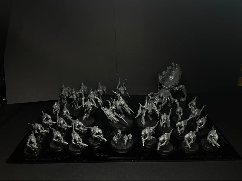 Tyranid Combat Patrol - Vanderghaast swarm (MINUS 1 RIPPER)