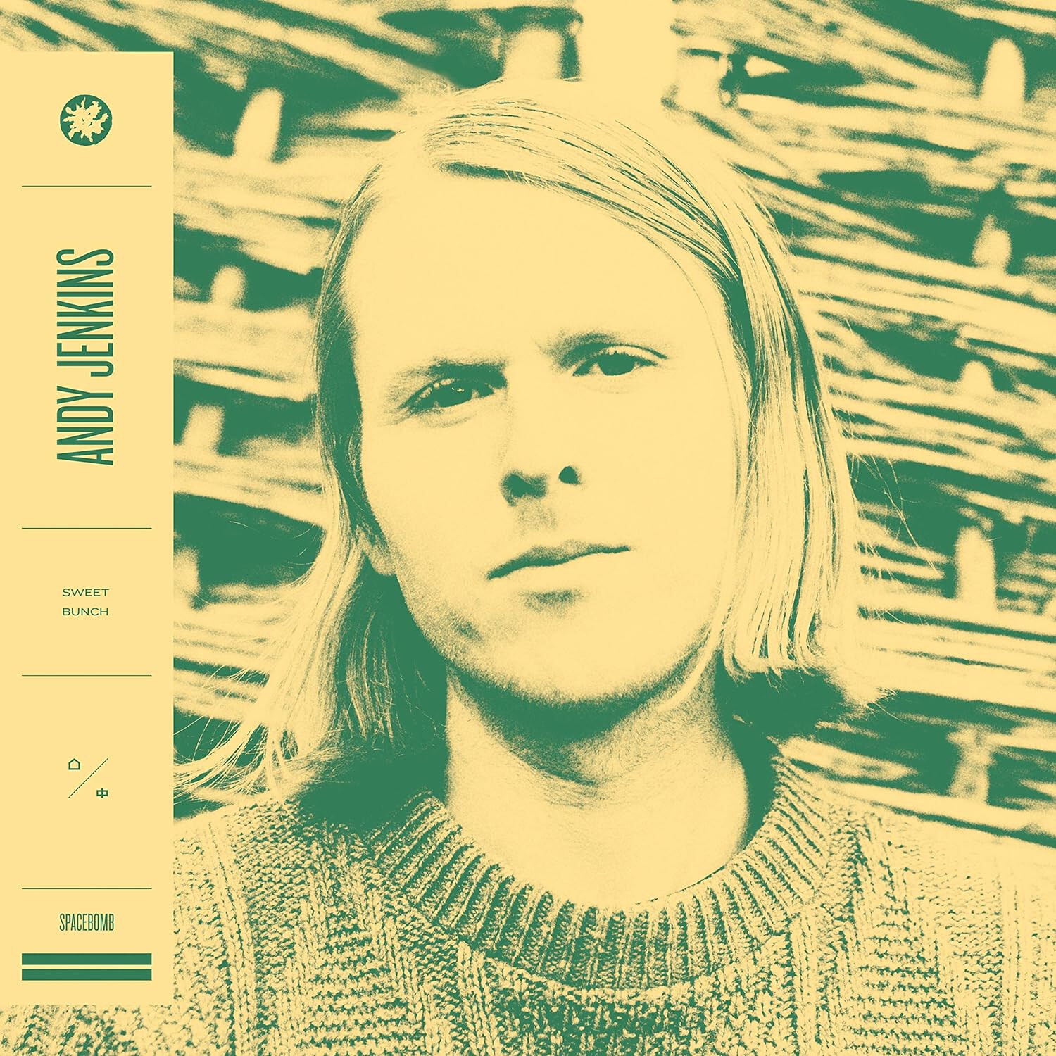 ANDY JENKINS = Sweet Bunch = VINYL LP ALBUM = INDIE FOLK ROCK POP FUNK
