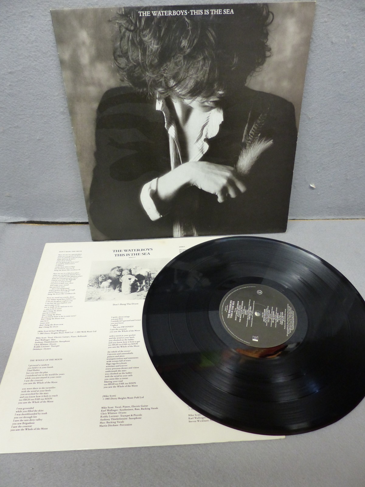 The Waterboys : This is the Sea- UK 1st Press -1985- 12" Album - ENCL5
