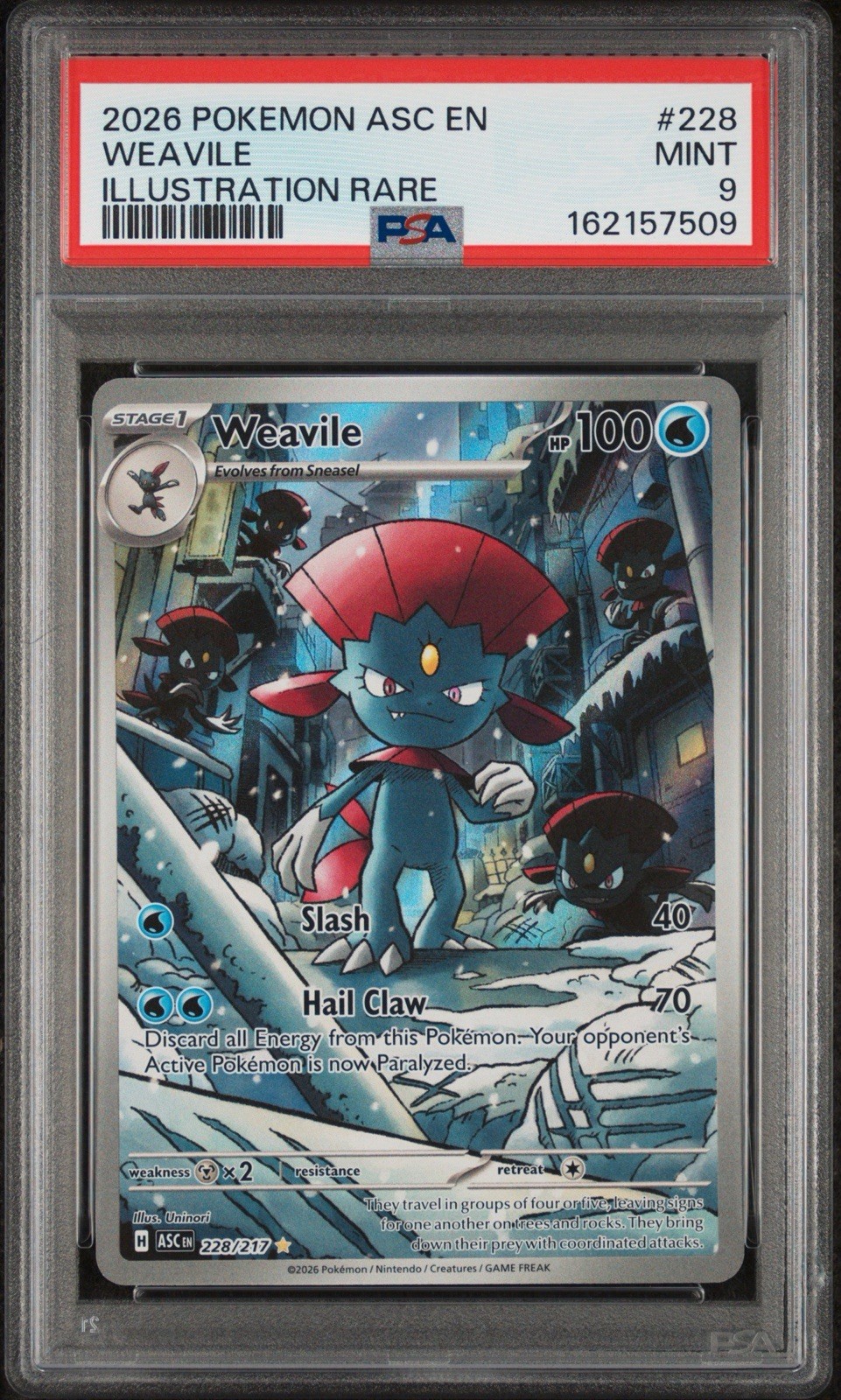 2026 Pokemon Weavile #228 PSA 9 MINT Illustration Rare Ascended Heroes IR