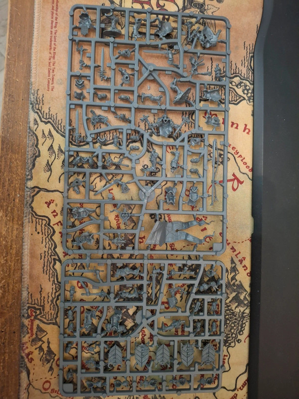 Cities of sigmar freeguild gallants