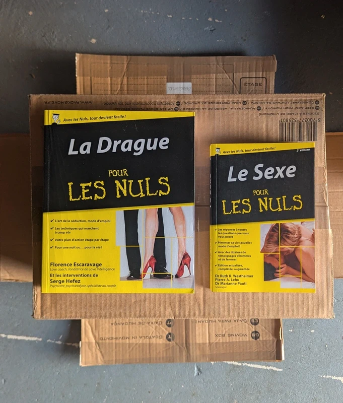 La drague et le sexe pour les nuls