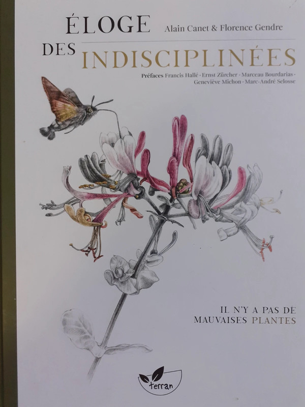 Eloge des indisciplinées