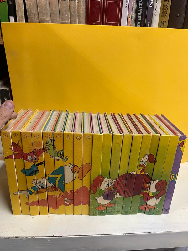 Colección Biblioteca de los Jóvenes Castores – Disney – Libros antiguos