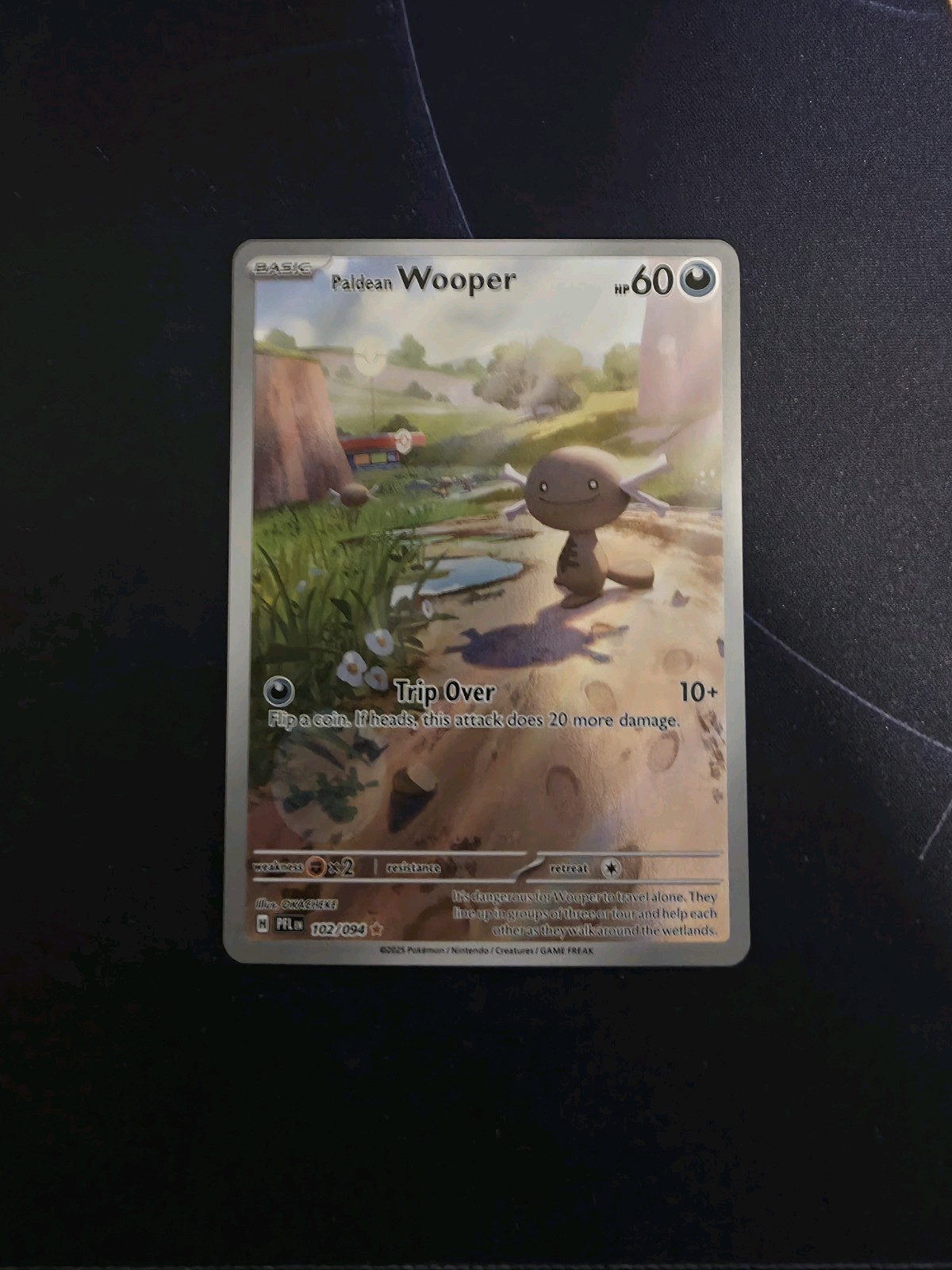 Paldean Wooper 102/094 Illustrazione Rara Fiamme Fantastiche Pokemon Holo NM