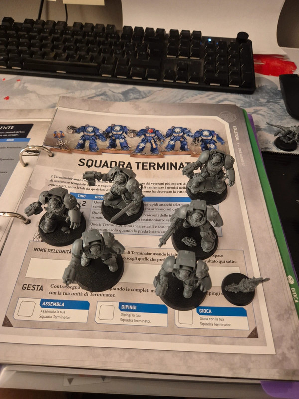 Squadra termnatur spece marine 6pz
