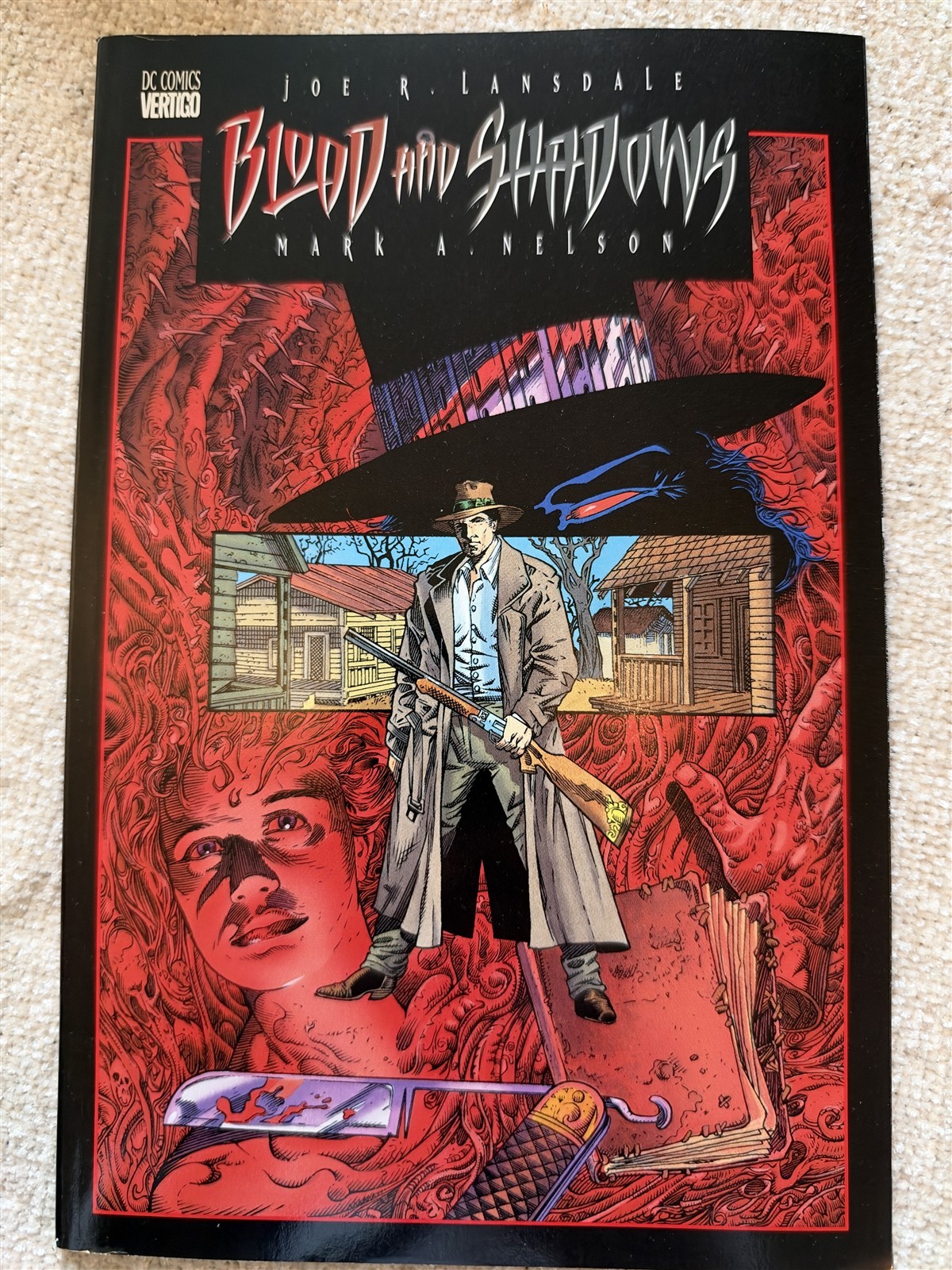 BLOOD AND SHADOWS #1 Joe R. Lansdale DC Vertigo Comics Deluxe VF
