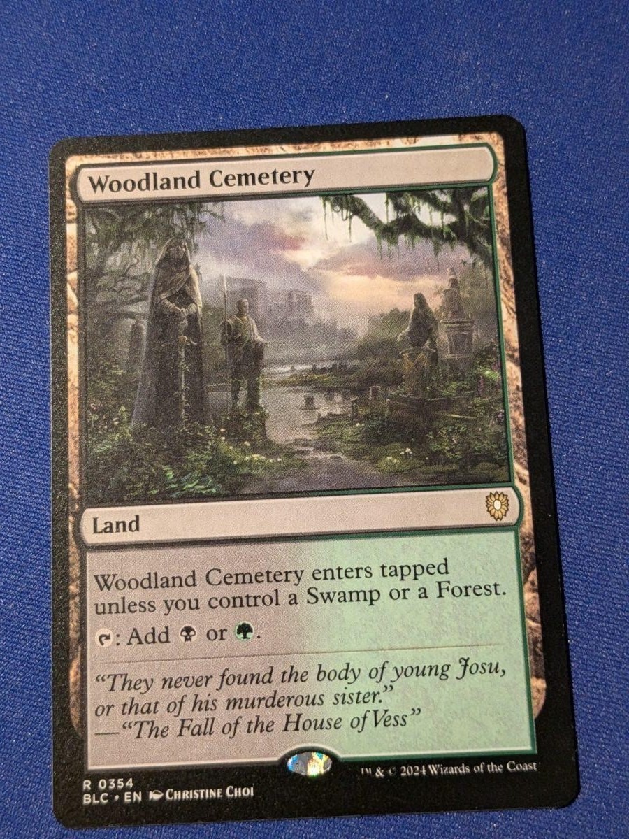 Woodland Cemetery Bloomburrow Commander #354 quasi nuovo MTG