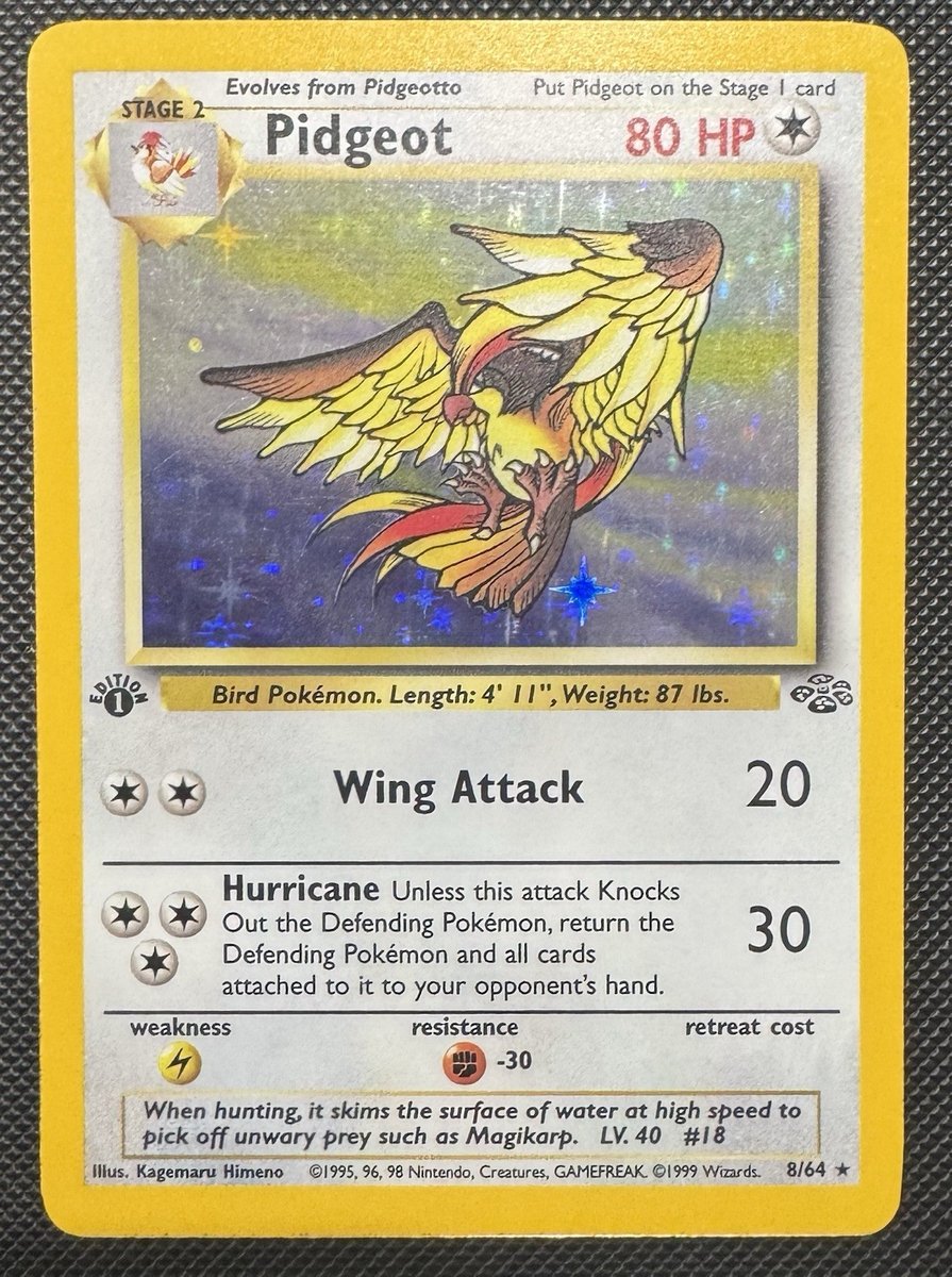 Pidgeot 8/64 Jungle Holo 1° Edizione Pokemon Vintage
