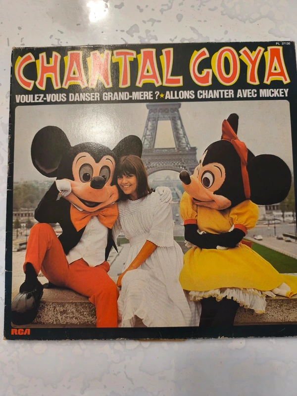 Disque vinyle 33 tours