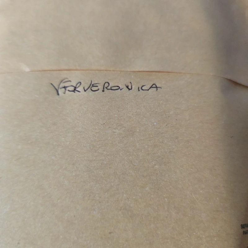 vforveronica_