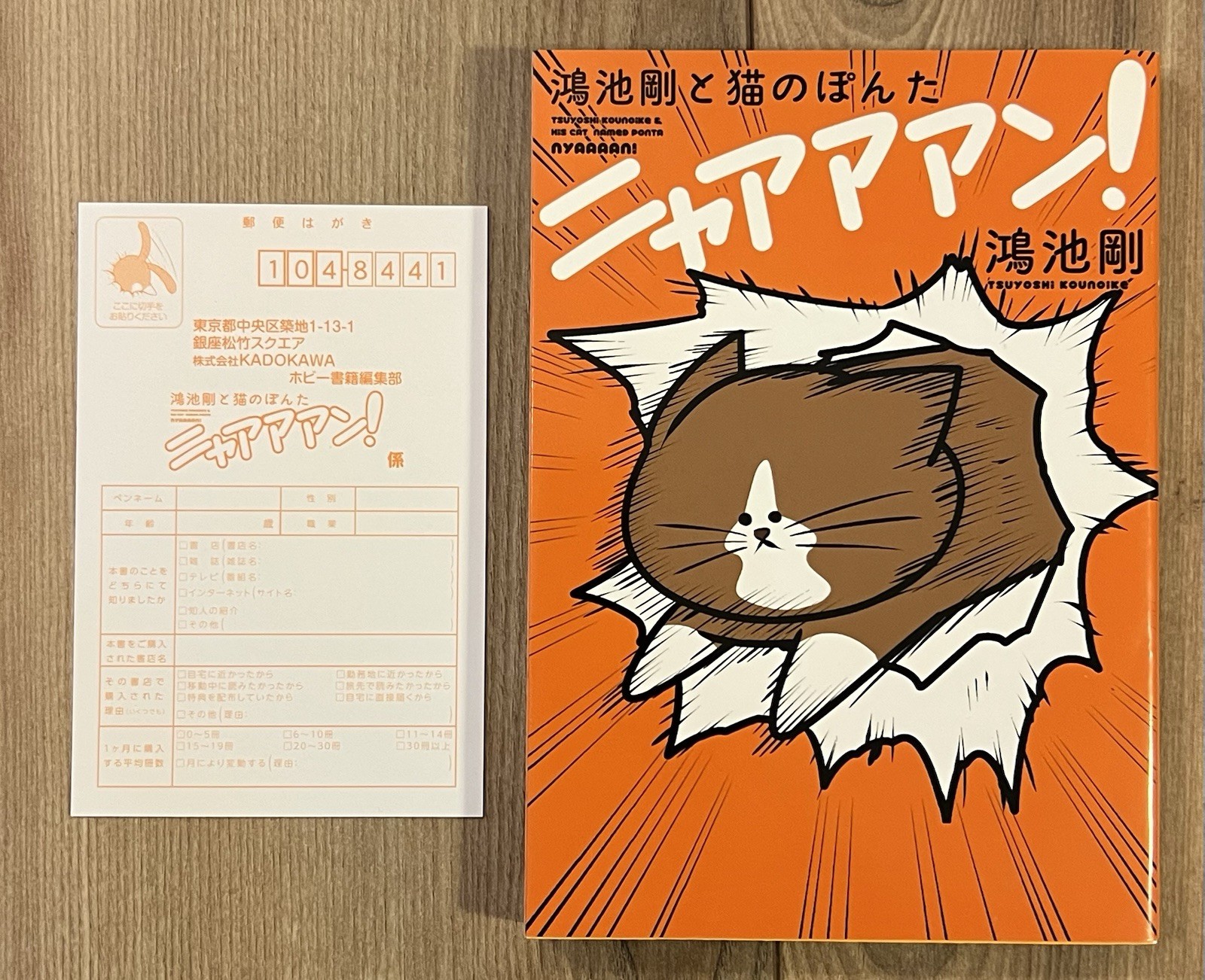 Konoike Tsuyoshi Neko no Ponta manga anime giapponese