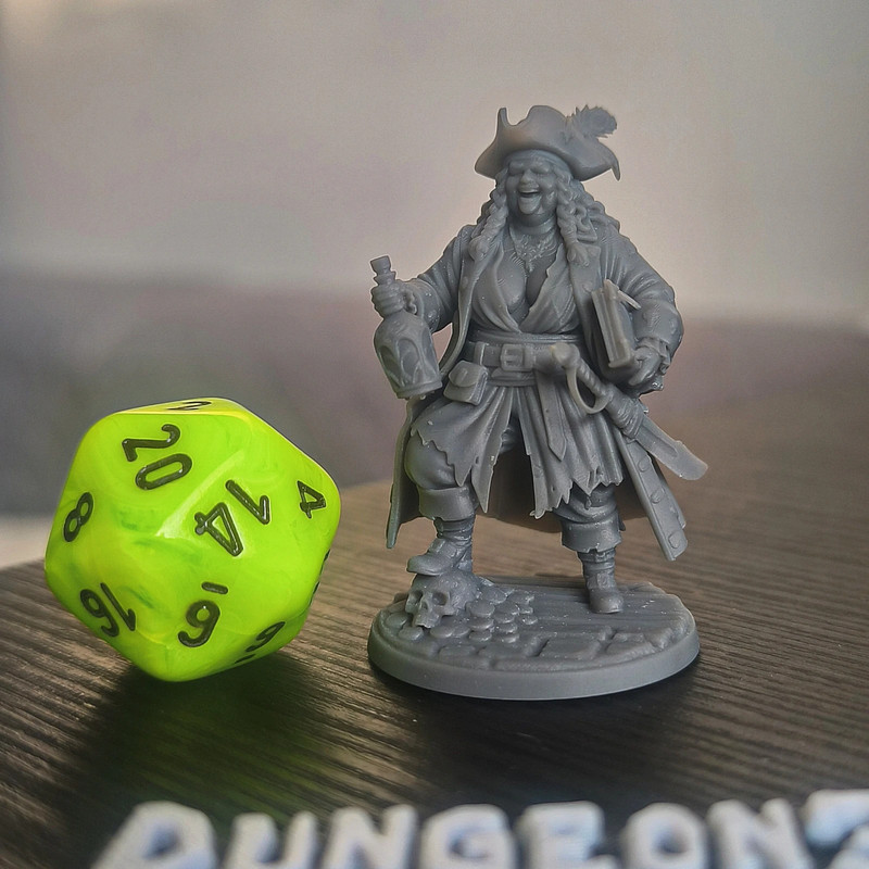 Miniature pirate woman in Resin ABS  for D&D and HeroQuest