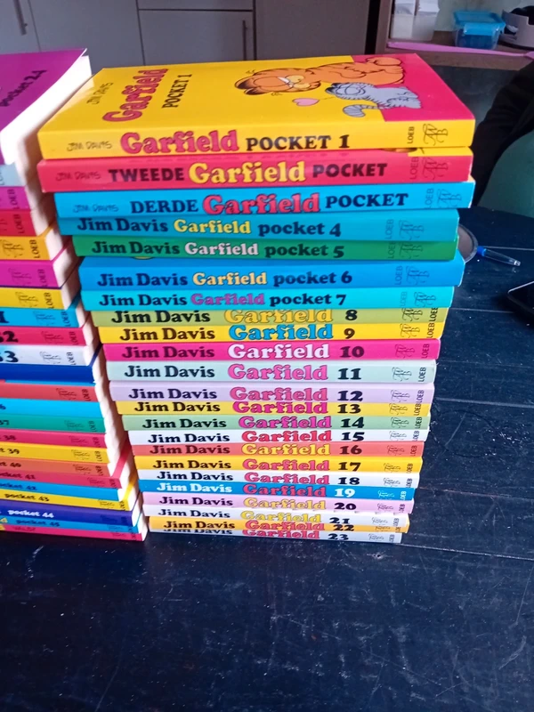 46 Garfield pockets