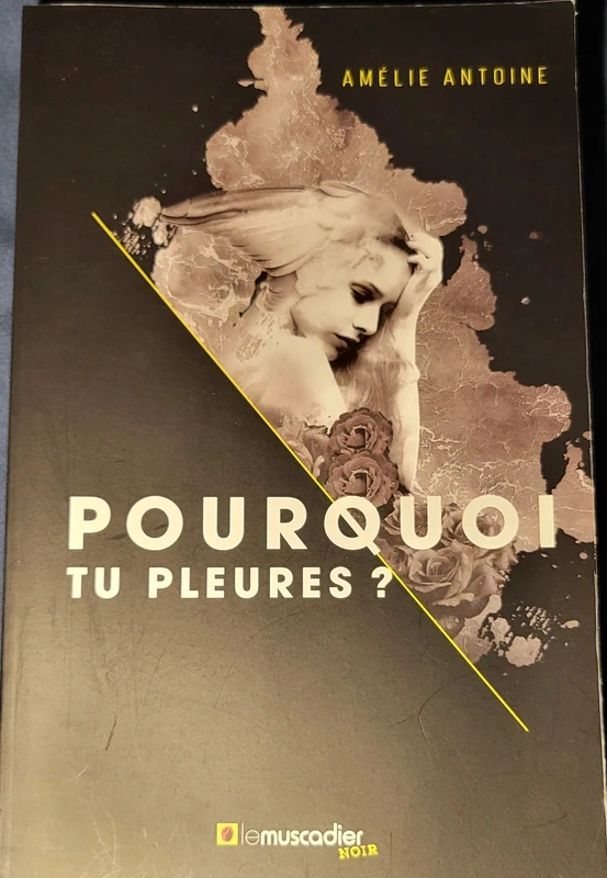 Pourquoi tu pleures ? - Amélie Antoine