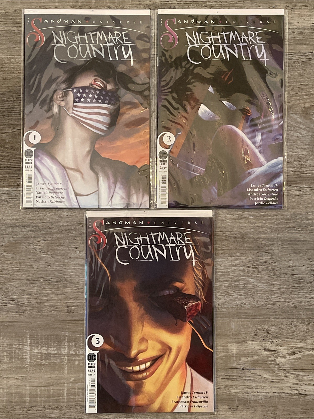 DC COMICS Sandman Universe Nightmare Country Lot(x3) #1 2 3 BAGGED & BOARDED ~NM
