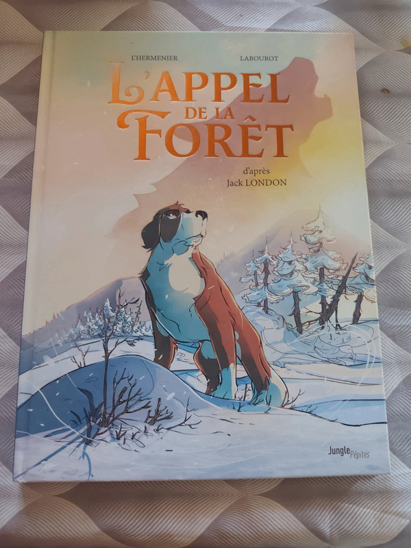 BD enfant