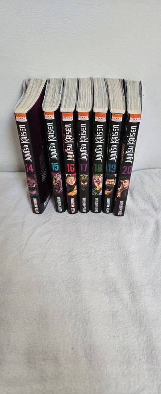 Manga Jujutsu Kaisen de 14 à 20