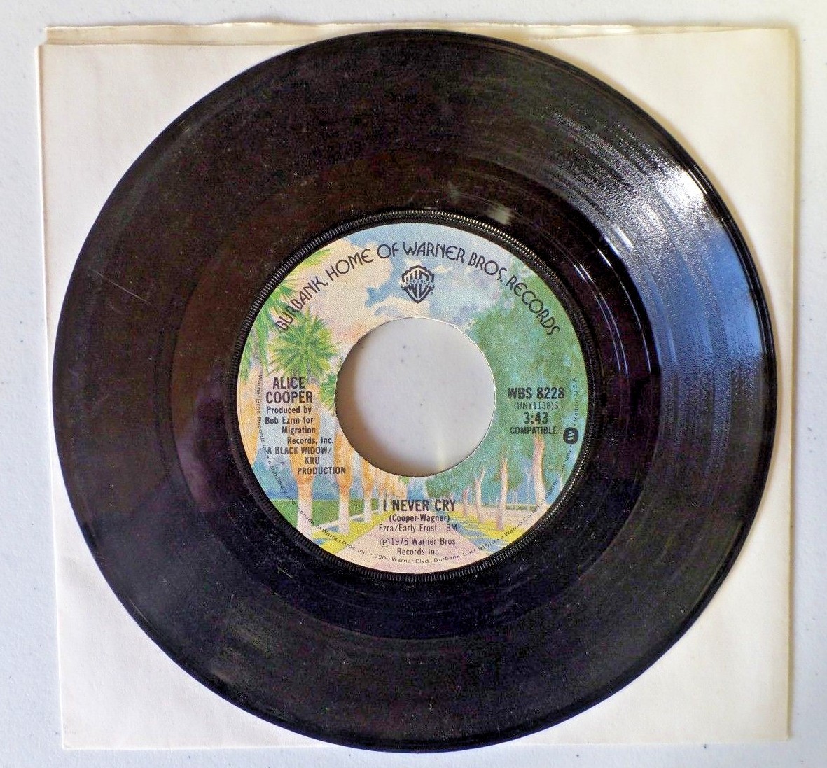 Alice Cooper GO TO HELL / I NEVER CRY 45RPM Vinyl 7" Record 1976 Warner Bros.