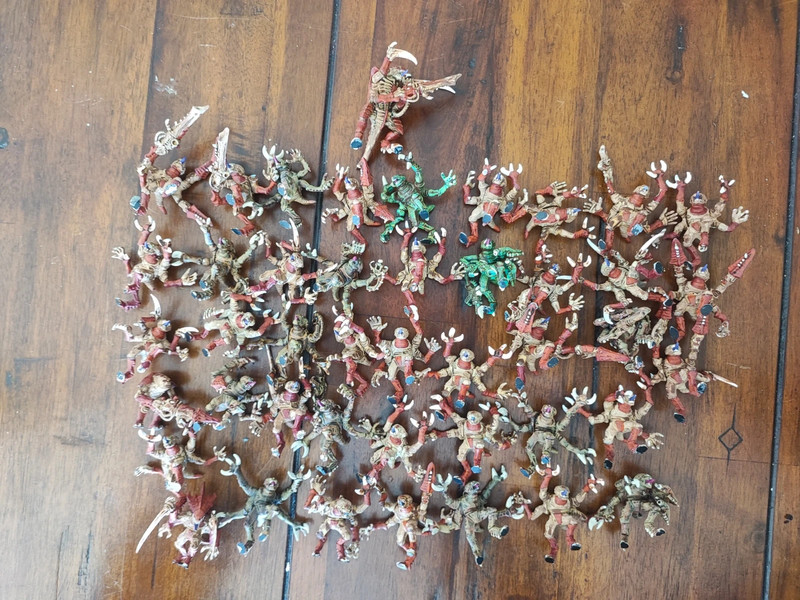 43 Tyranid Genestealers + 1 Warrior
