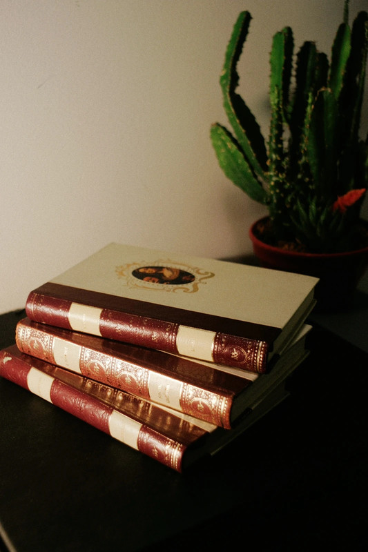 Lot 3 Old Books