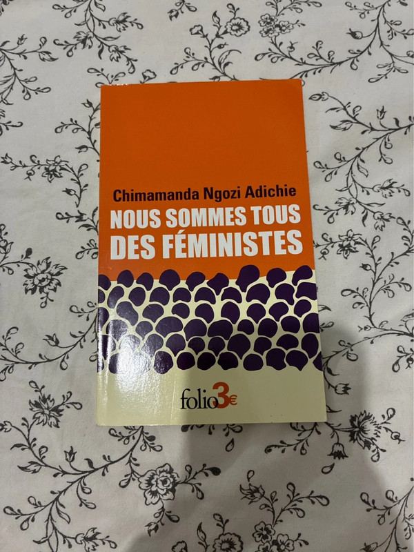 nous sommes tous des féministes
