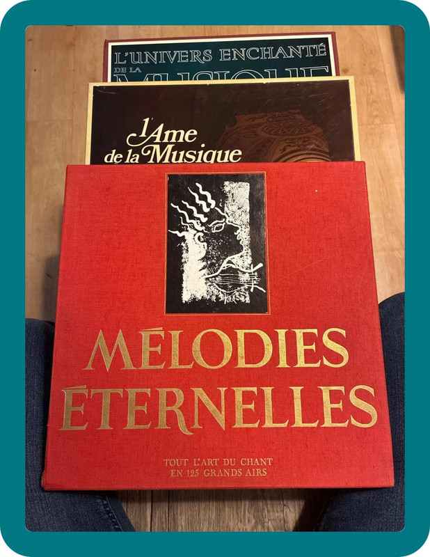 Méga-lot 32 vinyles classiques : disques état impeccable, idéal revente ! 💎