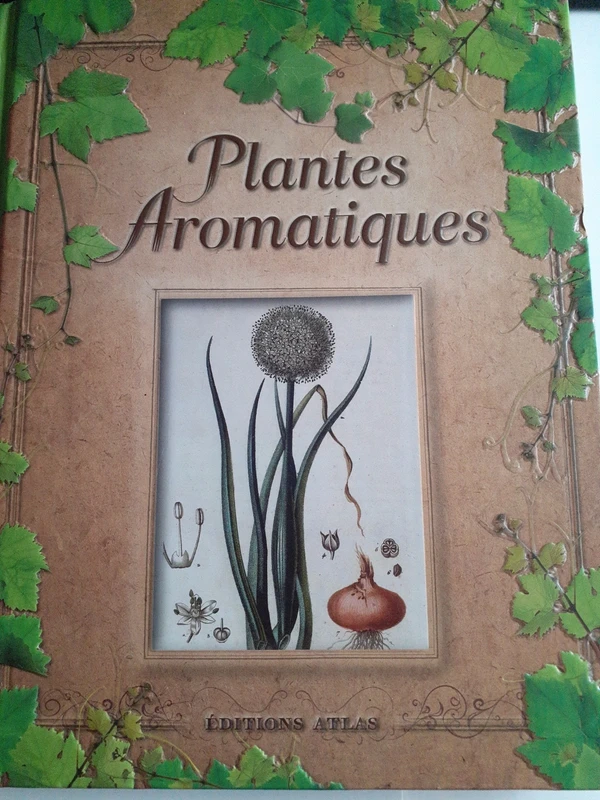 Plantes aromatiques - Viard