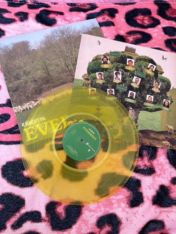 vinile evergreen calcutta