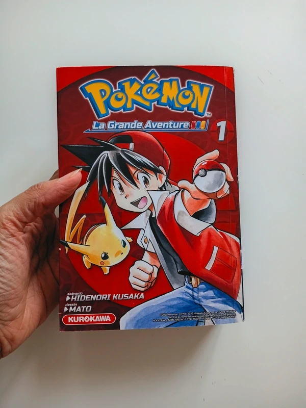 Livre pokemon la grande aventure 1