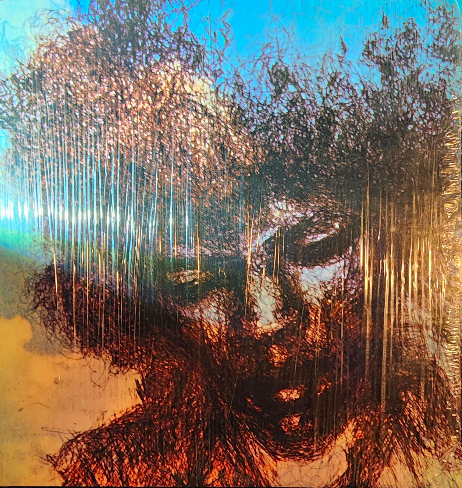 Jimi Hendrix The Cry of Love 12" Black Vinyl LP 33 RPM Reprise 1971