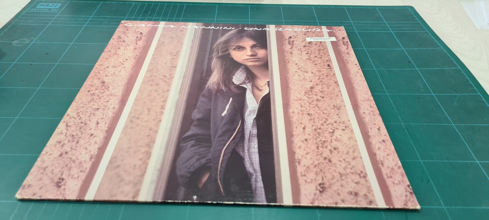 GIANNA NANNINI - UNA RADURA (LP USATO OTTIME CONDIZIONI DISCHI RICORDI GERMANIA)