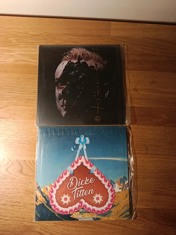 Lot 2 vinyle 45 tours Rammstein