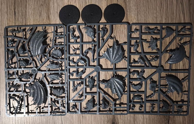 Games Workshop Warhammer Age of Sigmar Crypt Haunter Courtier ou Crypt Infernal Courtier Neuf