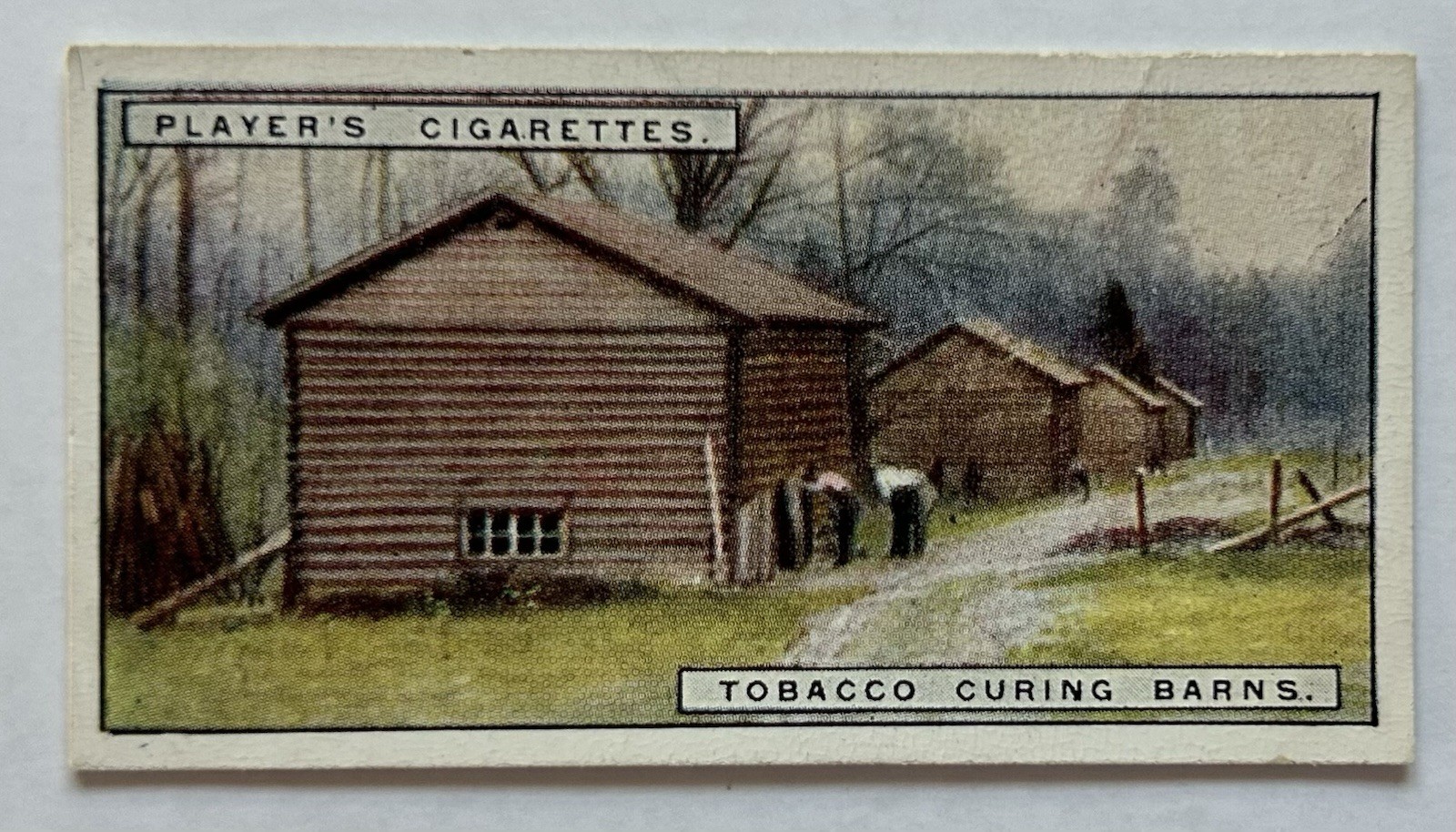 Carta Tabacco Giocatore Tabacco Cura Fienili Fattoria Edifici Scena #10 CC5
