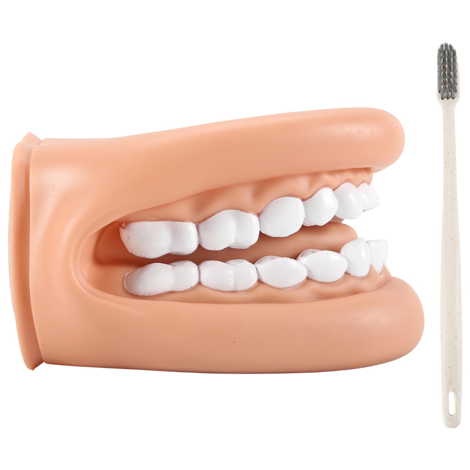 1pz Pupazzo Bocca con Lingua Denti Bocca Mano Pupazzo Bocca Dentale Modello8428