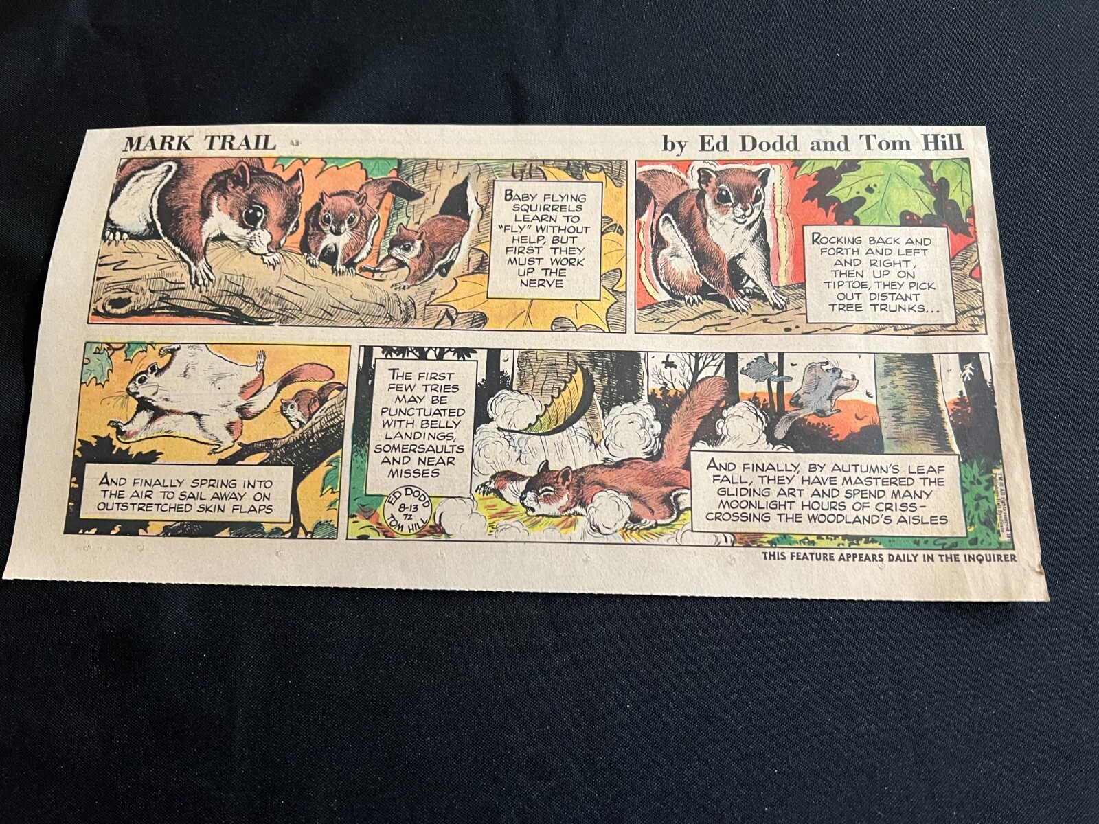 #19c MARK TRAIL di Ed Dodd Domenica terza pagina fumetto striscia 13 agosto 1972