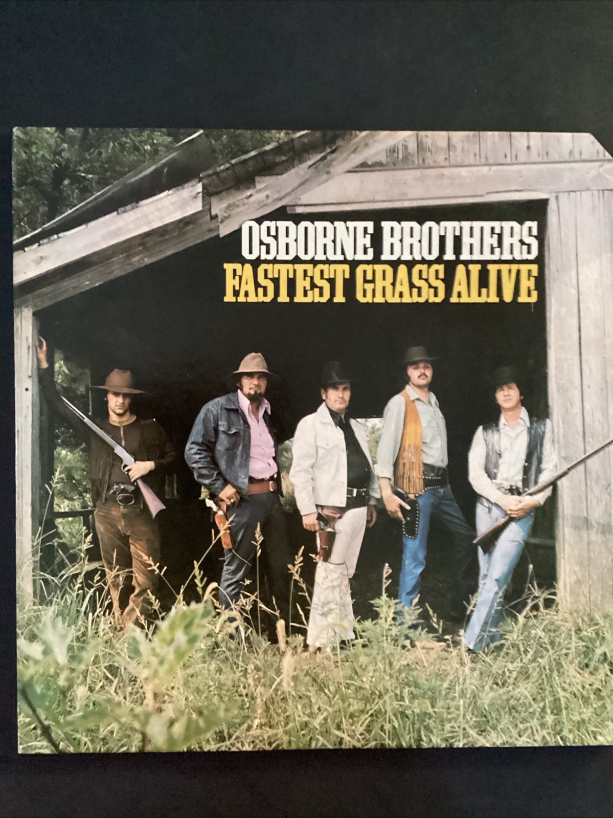 C1-10 OSBORNE BROTHERS Fastest Grass Alive - 1974 - MCA-374 - RECORD - BLUEGRASS