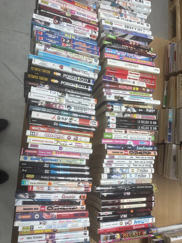 Lot de 100 mangas divers