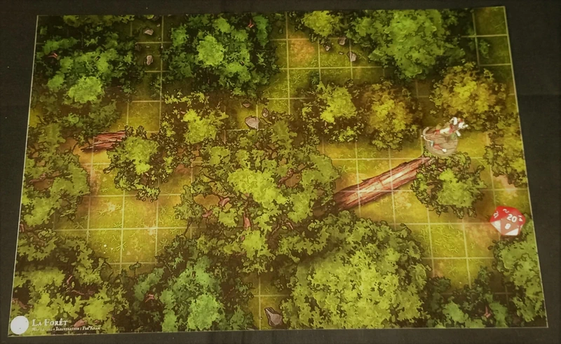 La foret, la route et le bivouac, battlemap pour JDR