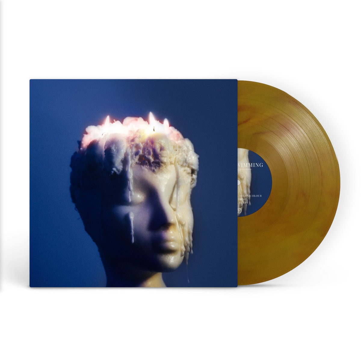 Night Swimming Melting, Sometimes Bleeding (Vinyl LP) (PRESALE 18/09/2026)