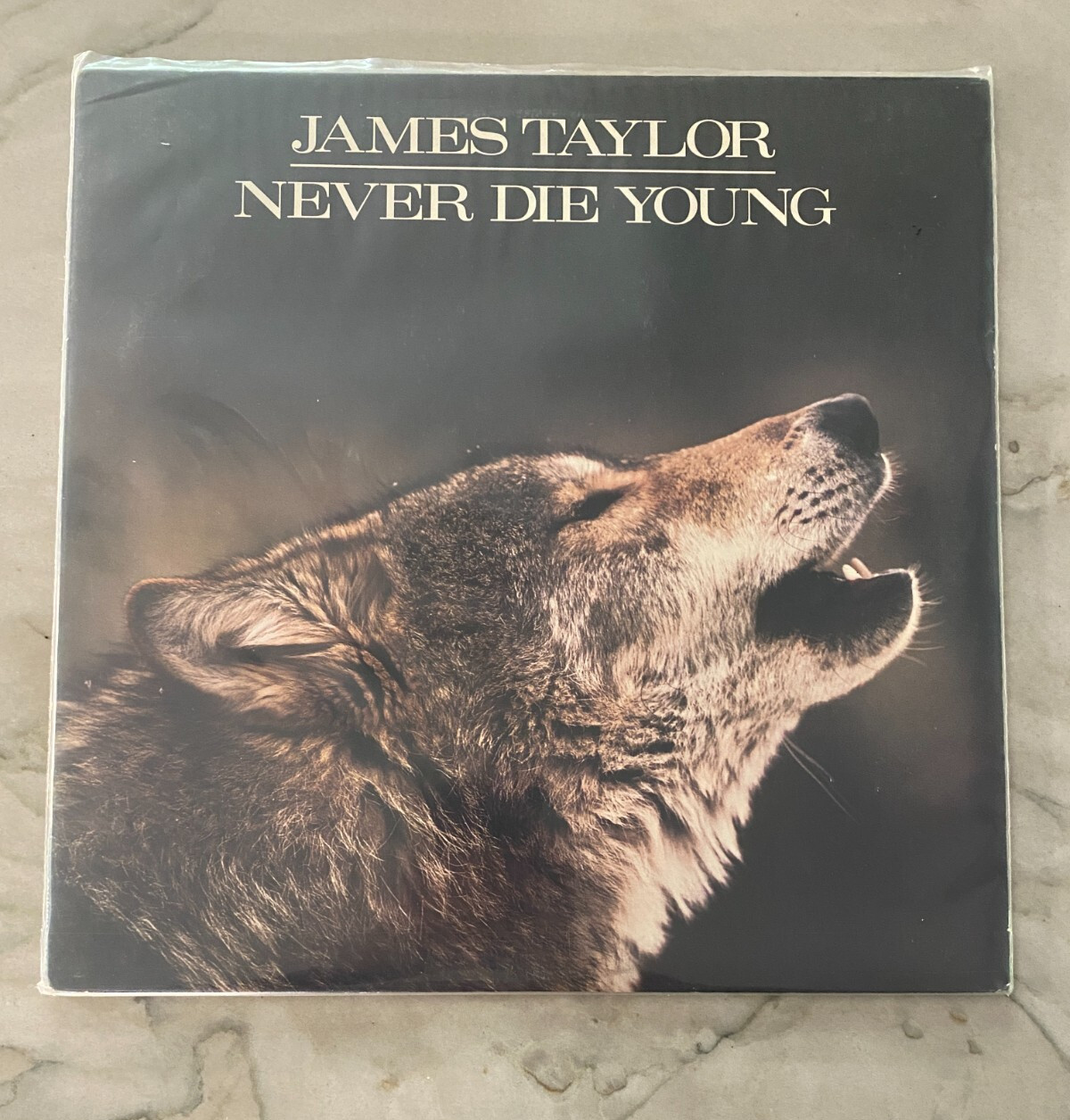James Taylor Never Die Young LP COLUMBIA 1988 VG+ Vinile