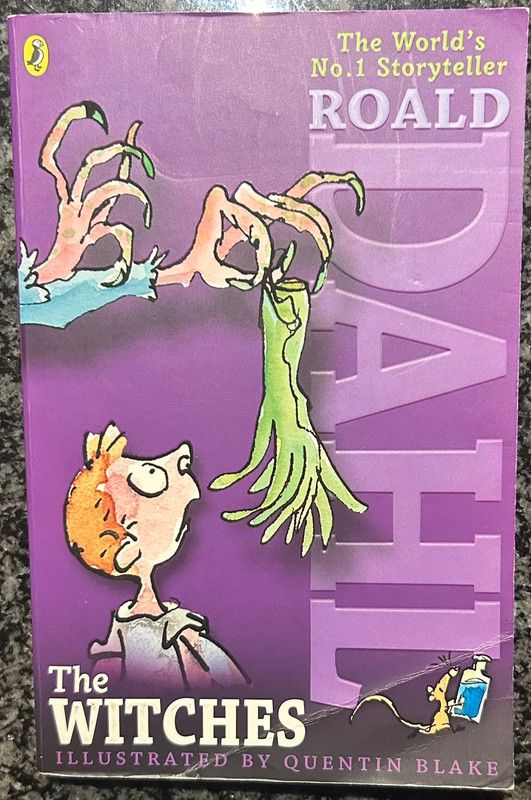 The Witches - Roald Dahl