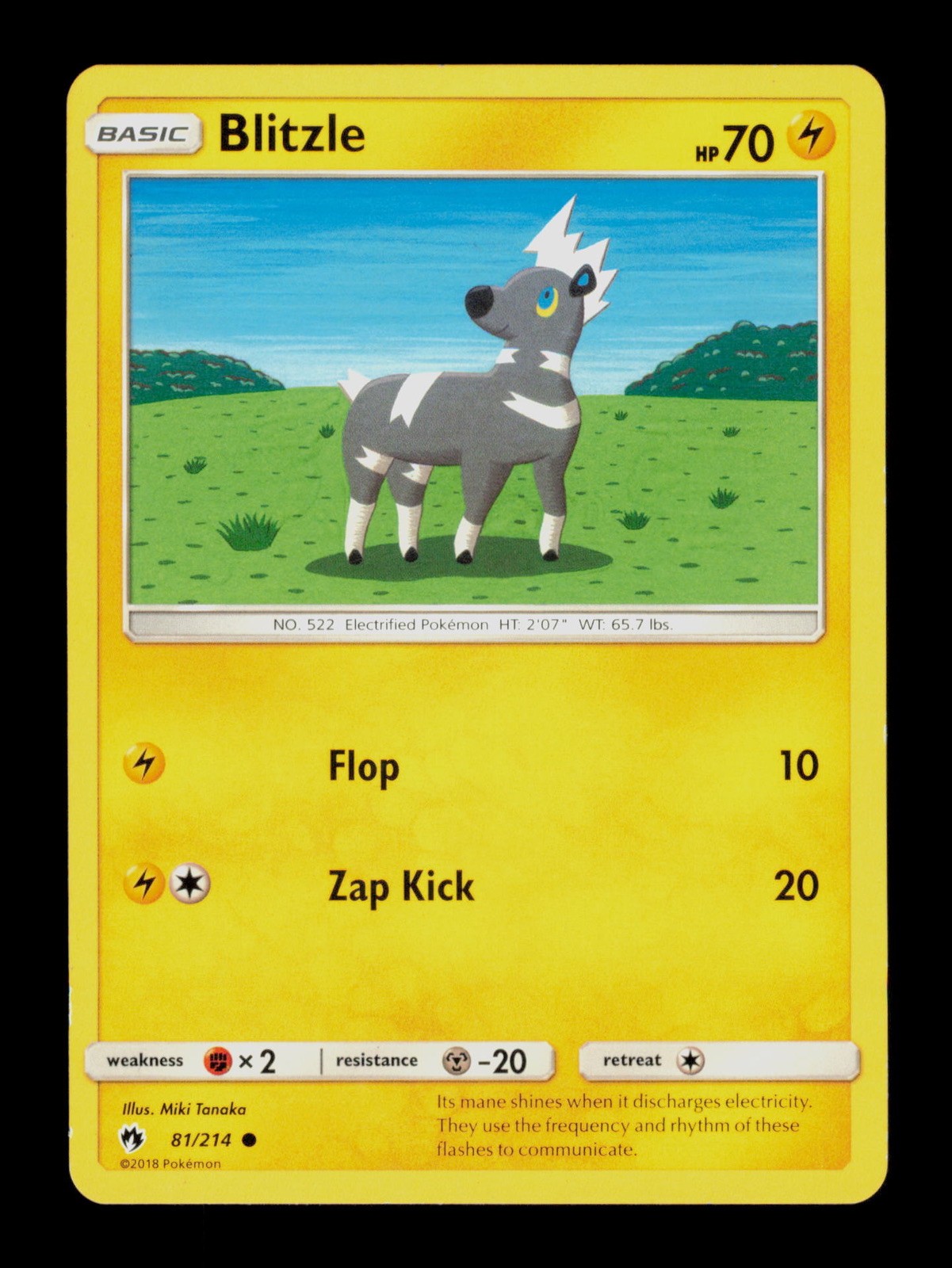 Blitzle 81/214 Pokemon Tuono Perduto Trading Card TC