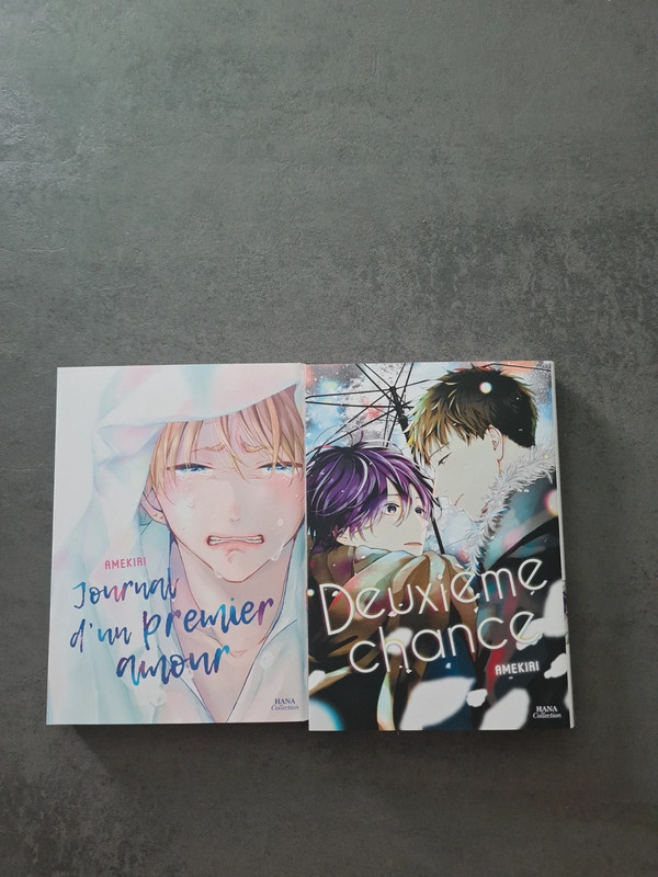 Mangas Journal d'un premier amour et Deuxième chance