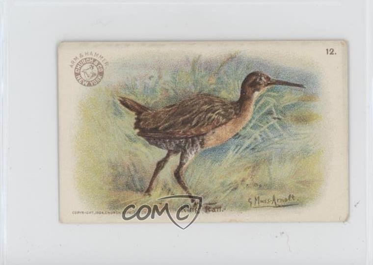 1904 Arm & Hammer Game Bird Series King Rail #12 0zv5
