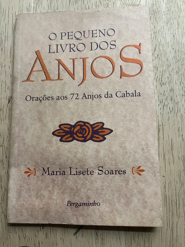 O pequeno livro dos Anjos- Maria Lisete Soares