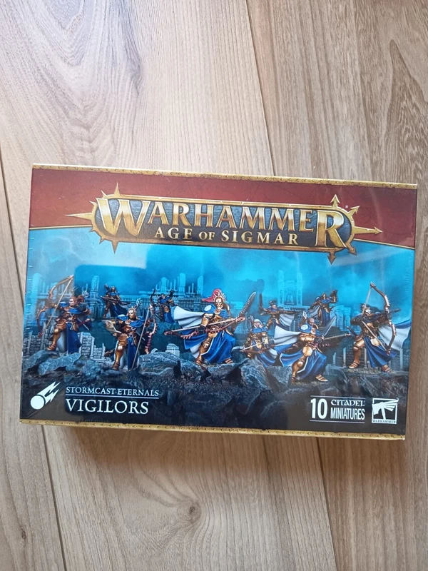 Vigilors stormcast